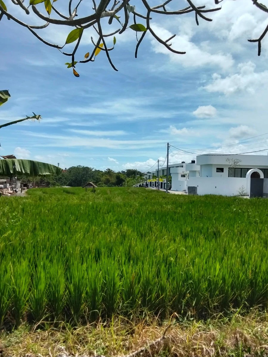 Land For Lease In Canggu, Pererenan