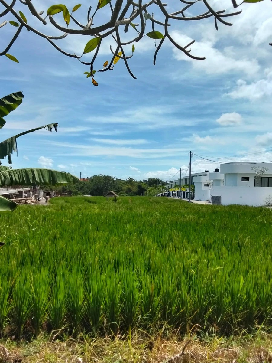 Land For Lease In Canggu, Pererenan