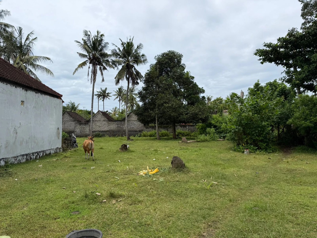 NUSA LEMBONGAN, 25.5 ARE of Prime Land