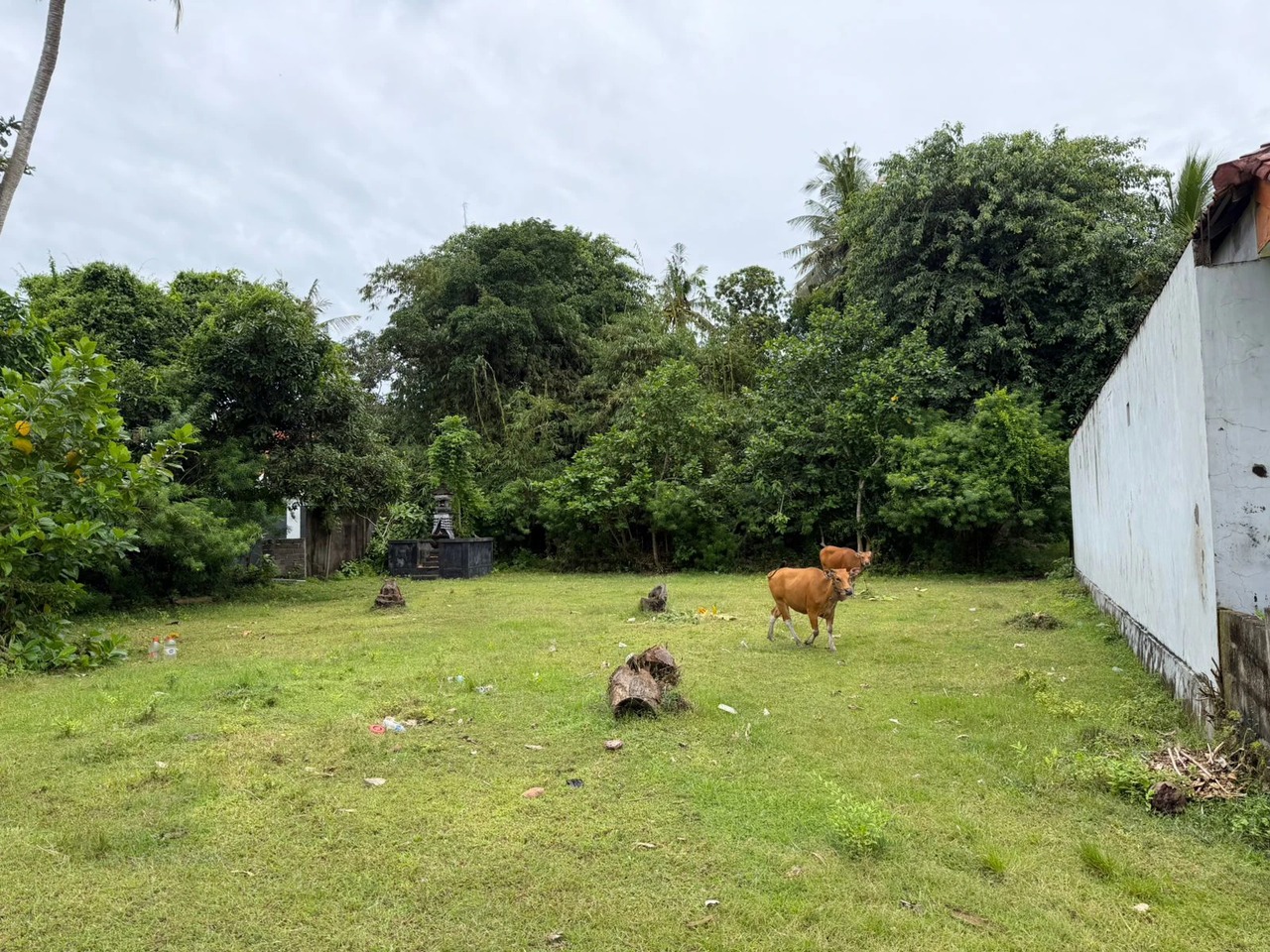 NUSA LEMBONGAN, 25.5 ARE of Prime Land