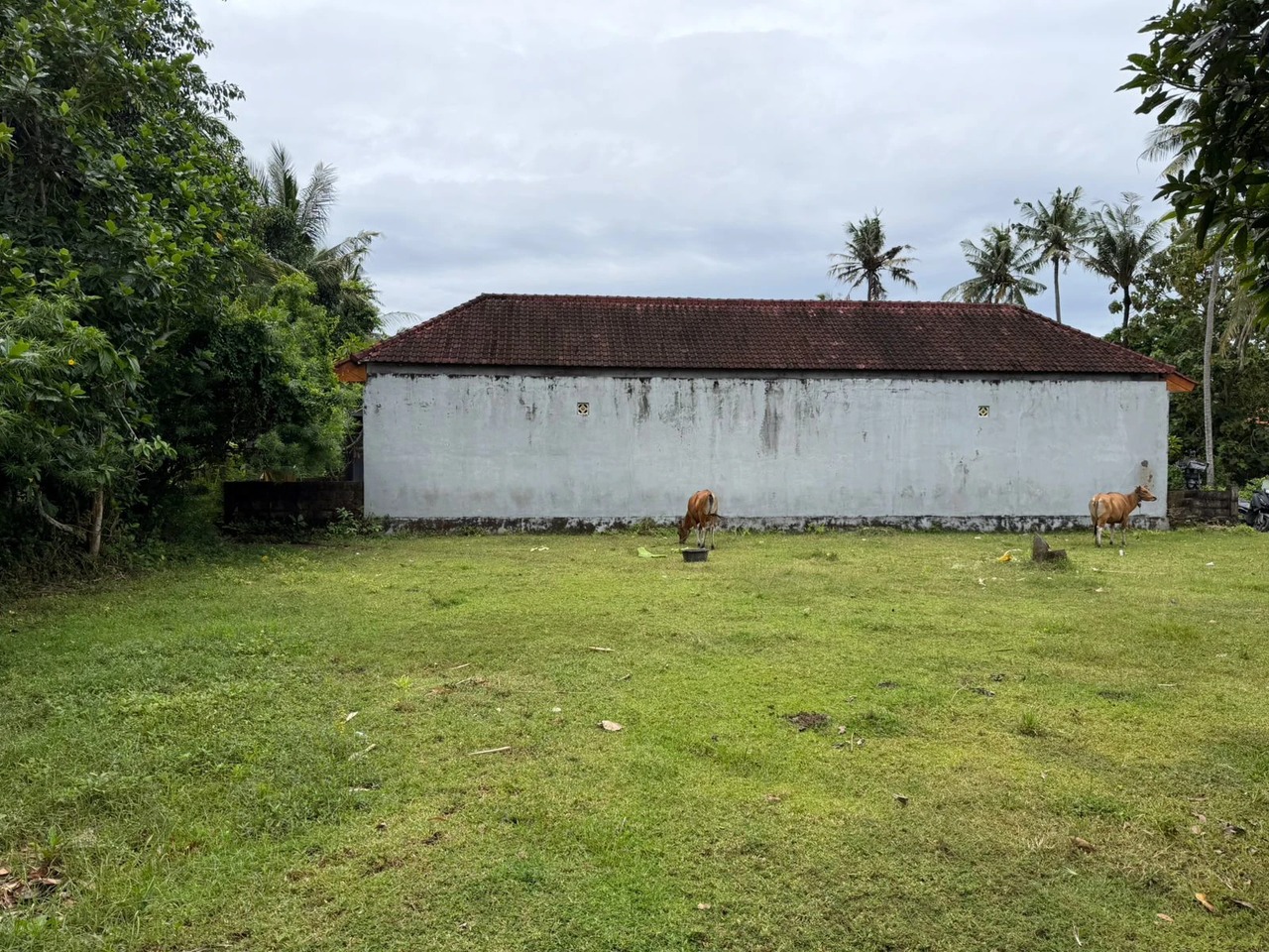 NUSA LEMBONGAN, 25.5 ARE of Prime Land