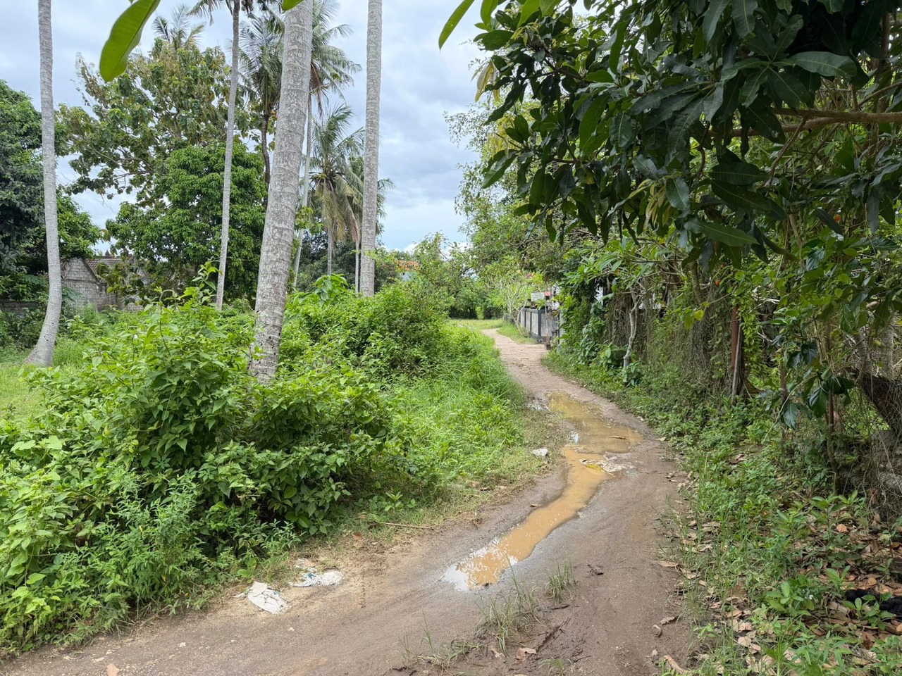 NUSA LEMBONGAN, 25.5 ARE of Prime Land