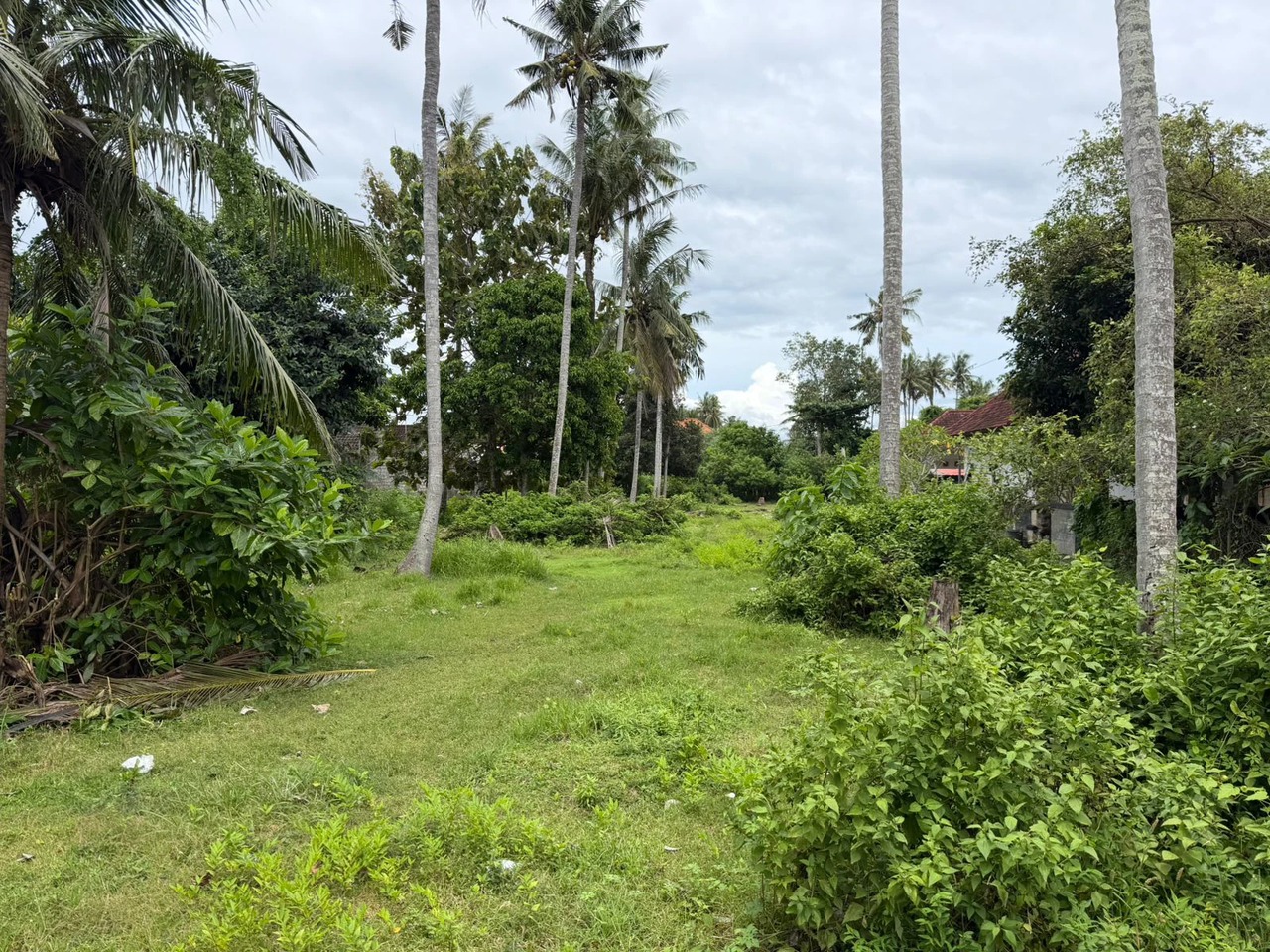 NUSA LEMBONGAN, 25.5 ARE of Prime Land