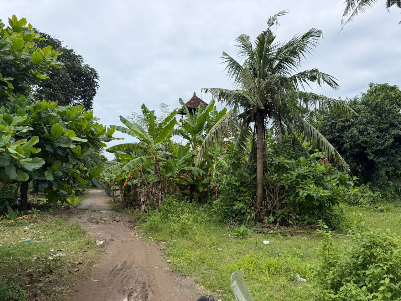 NUSA LEMBONGAN, 25.5 ARE of Prime Land