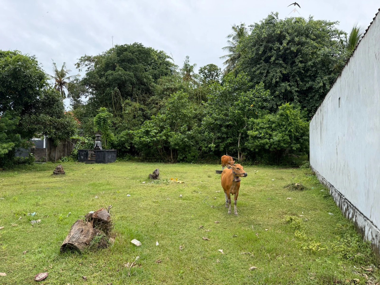 NUSA LEMBONGAN, 25.5 ARE of Prime Land