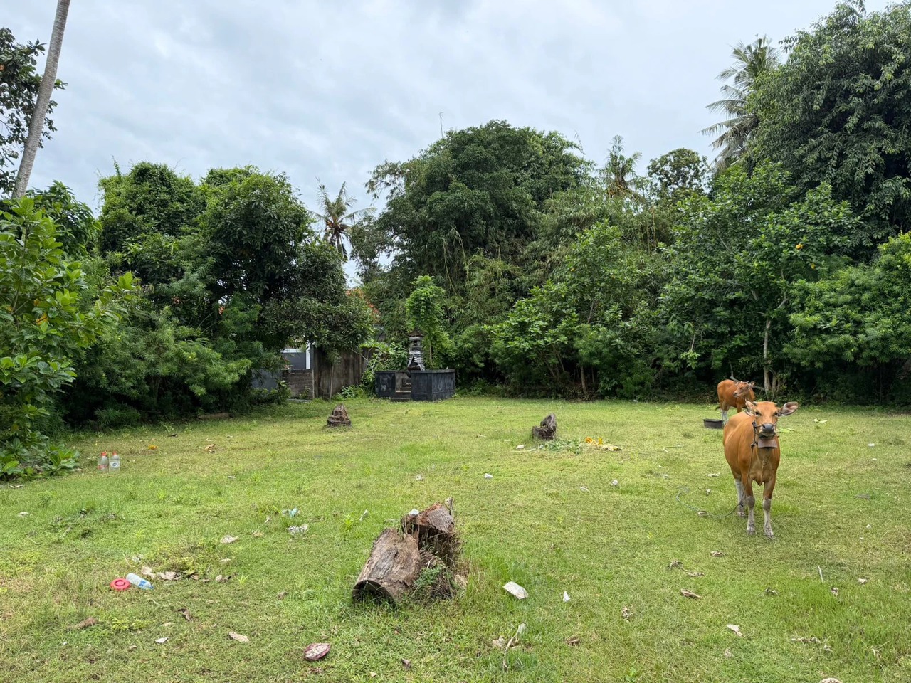 NUSA LEMBONGAN, 25.5 ARE of Prime Land