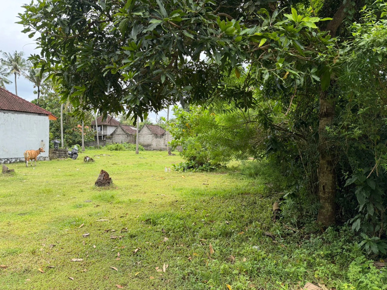 NUSA LEMBONGAN, 25.5 ARE of Prime Land