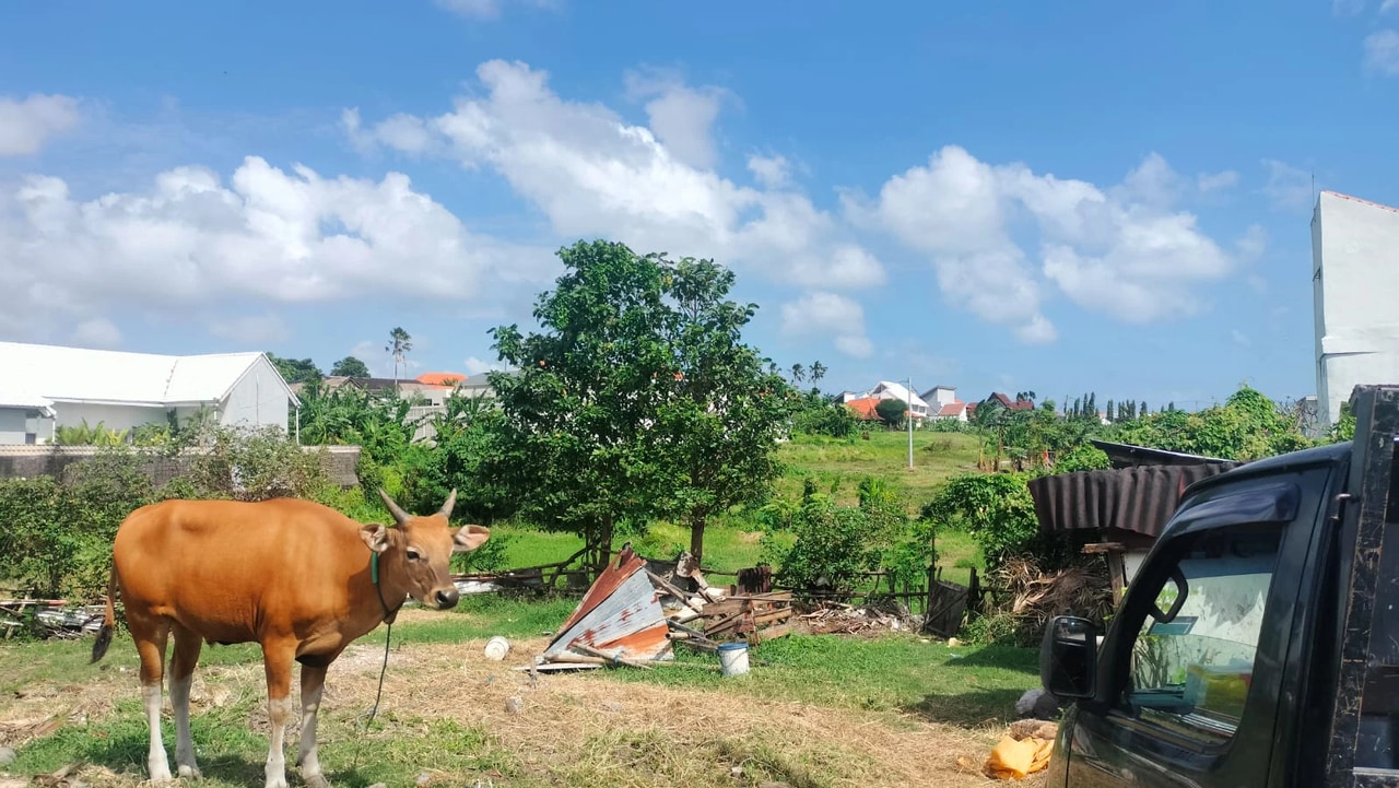 Prime Land for Sale or Leasehold