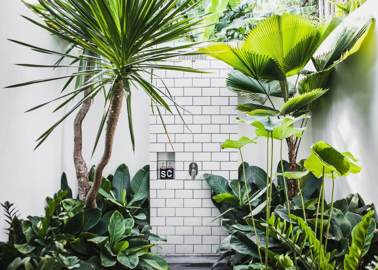Stylish 3 Bedroom Villa in Canggu