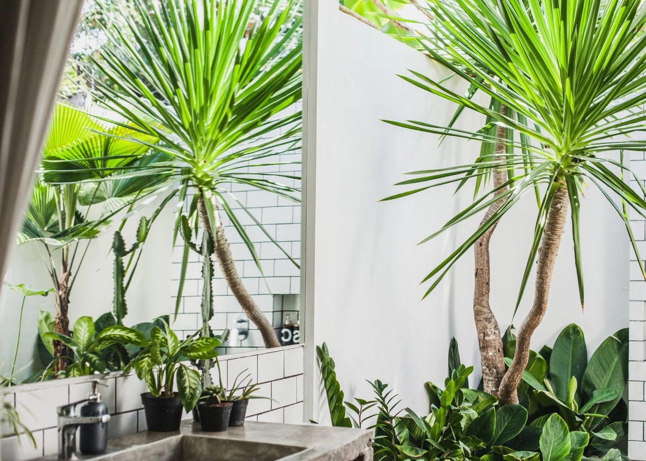 Stylish 3 Bedroom Villa in Canggu