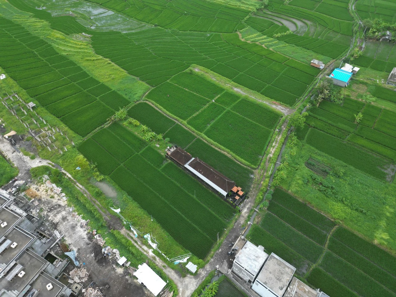 LEASEHOLD LAND 10 ARE IN CEMAGI