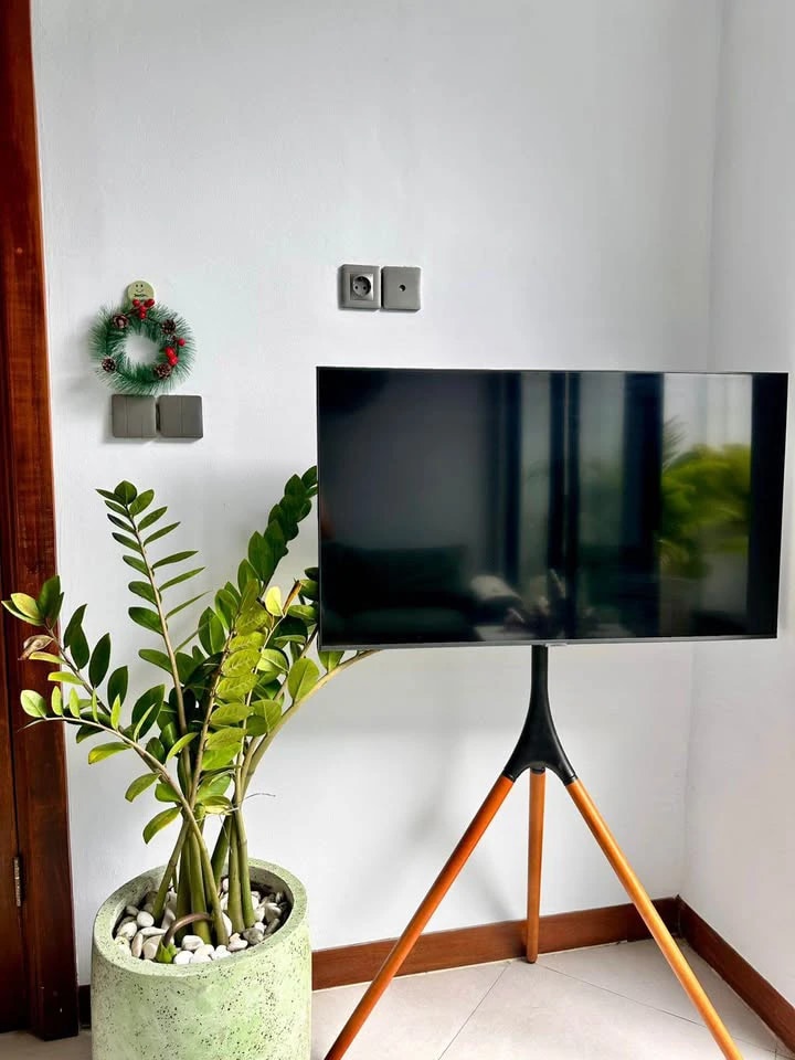 Modern 2 Bedrooms Private Villa Canggu