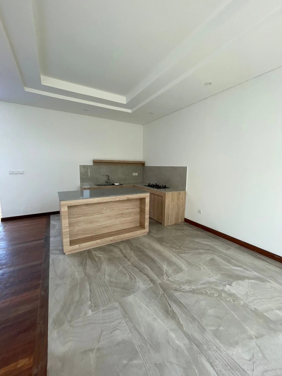 Brand New Villa for Rent in Kerobokan