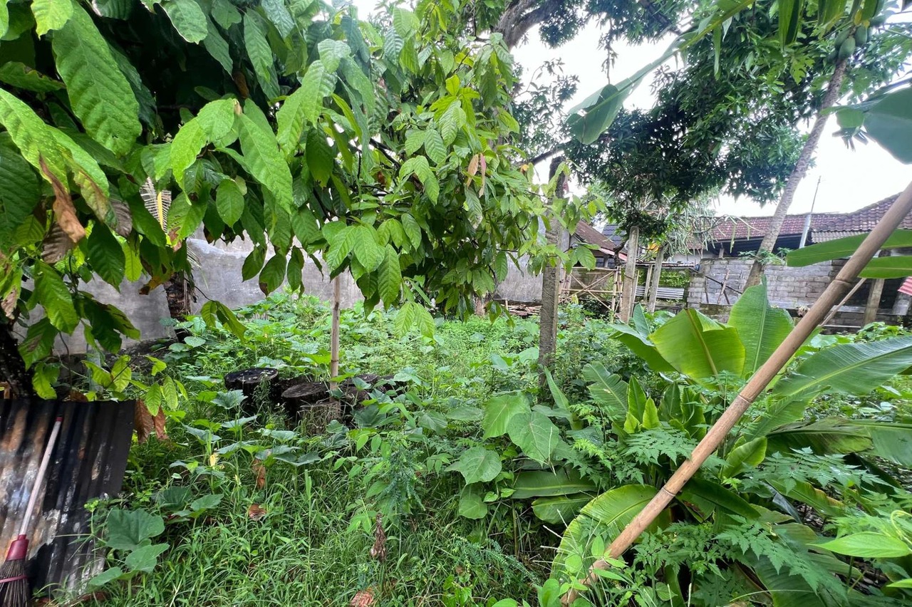 Leasehold - 435 sqm Land Near Yeh Gangga