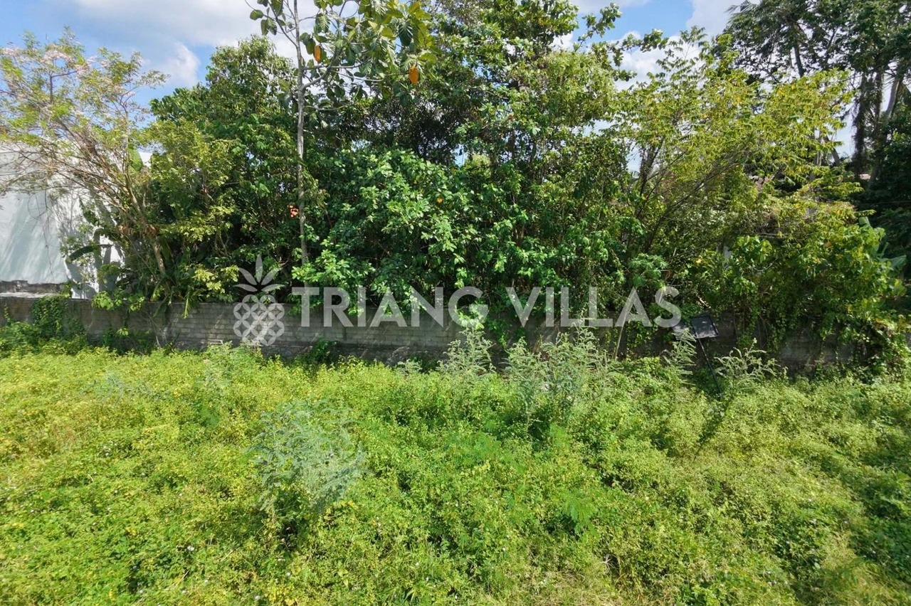 Secure 5-Are Land Near Kedungu Beach