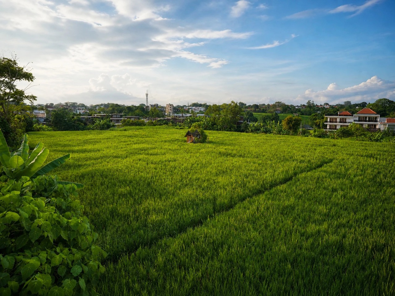 Good Karma Villa Pool and Rice Fields