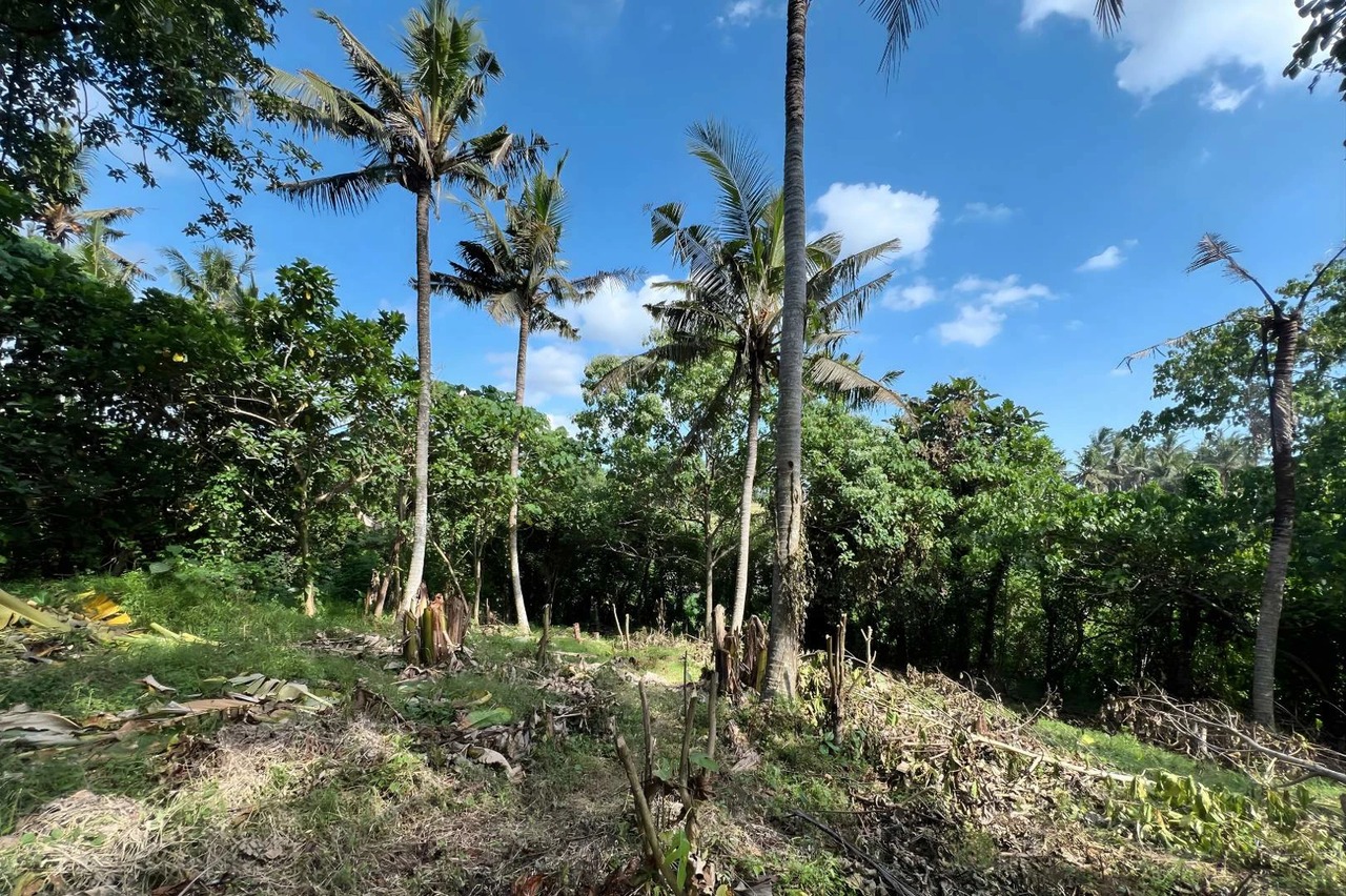 Land with Rice Terrace Views