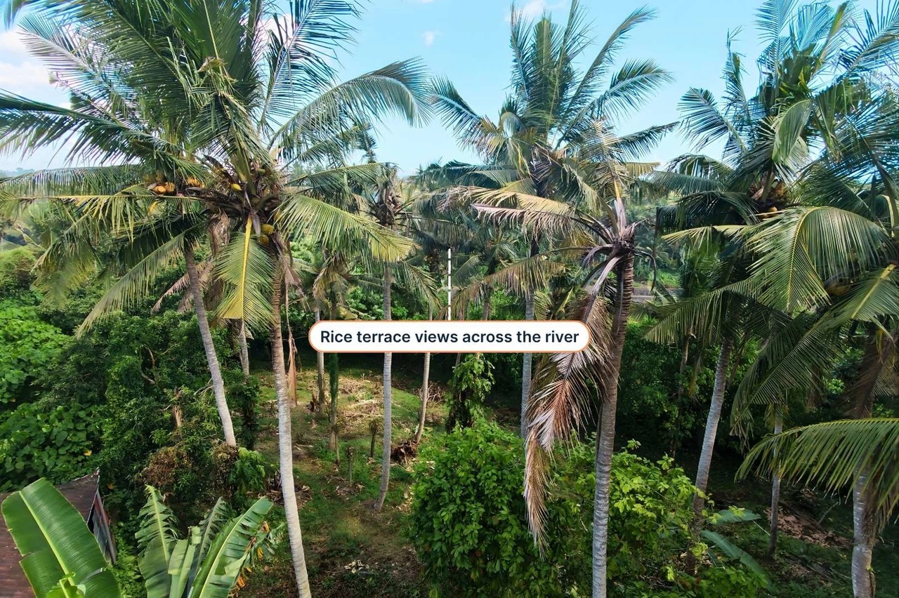 Land with Rice Terrace Views