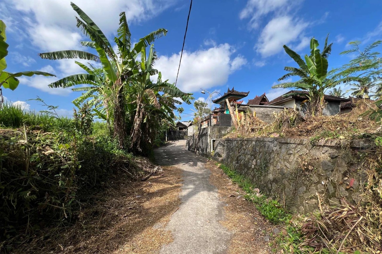 Land with Rice Terrace Views