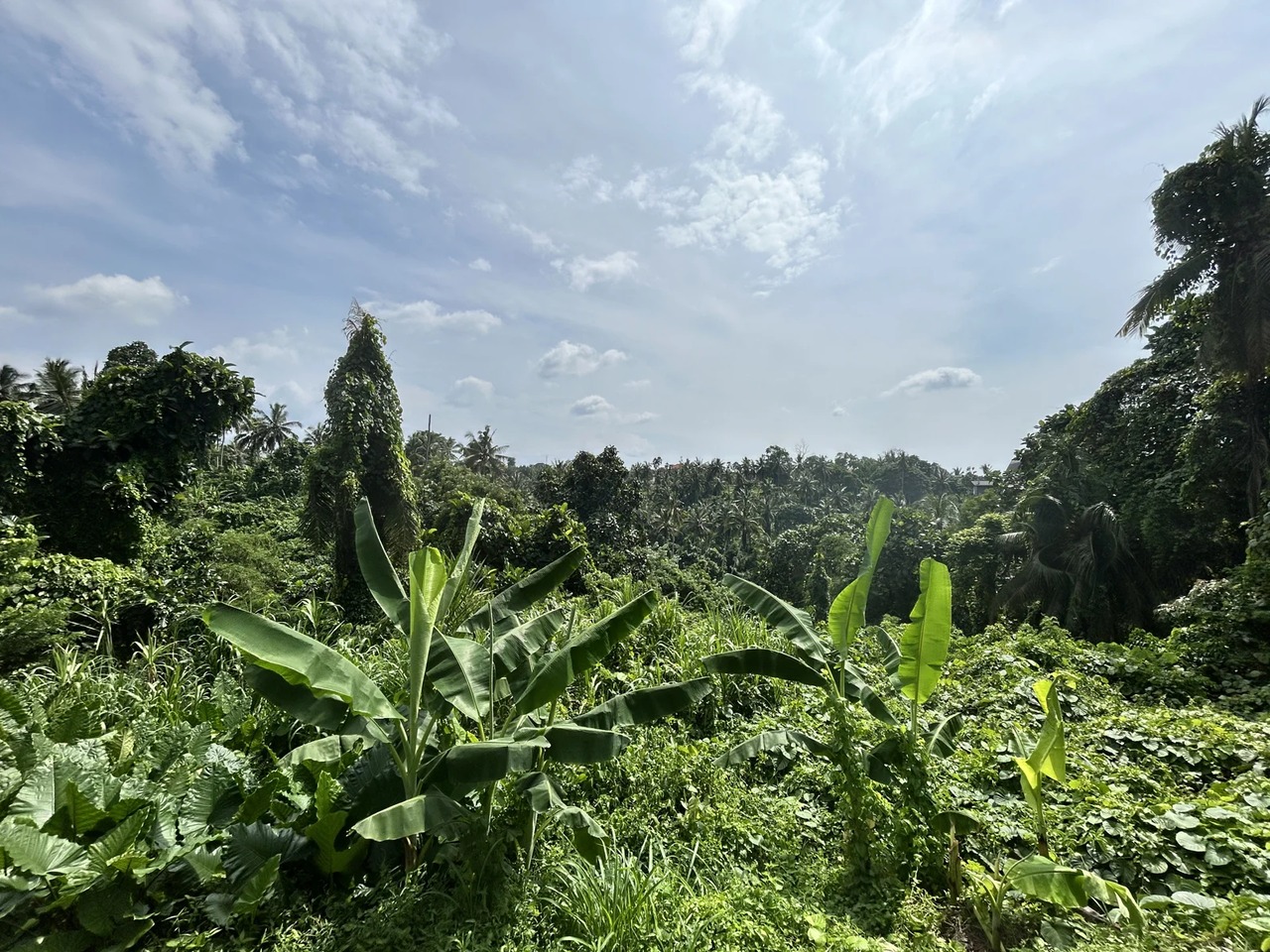  Serene 2BR Jungle-View Villa