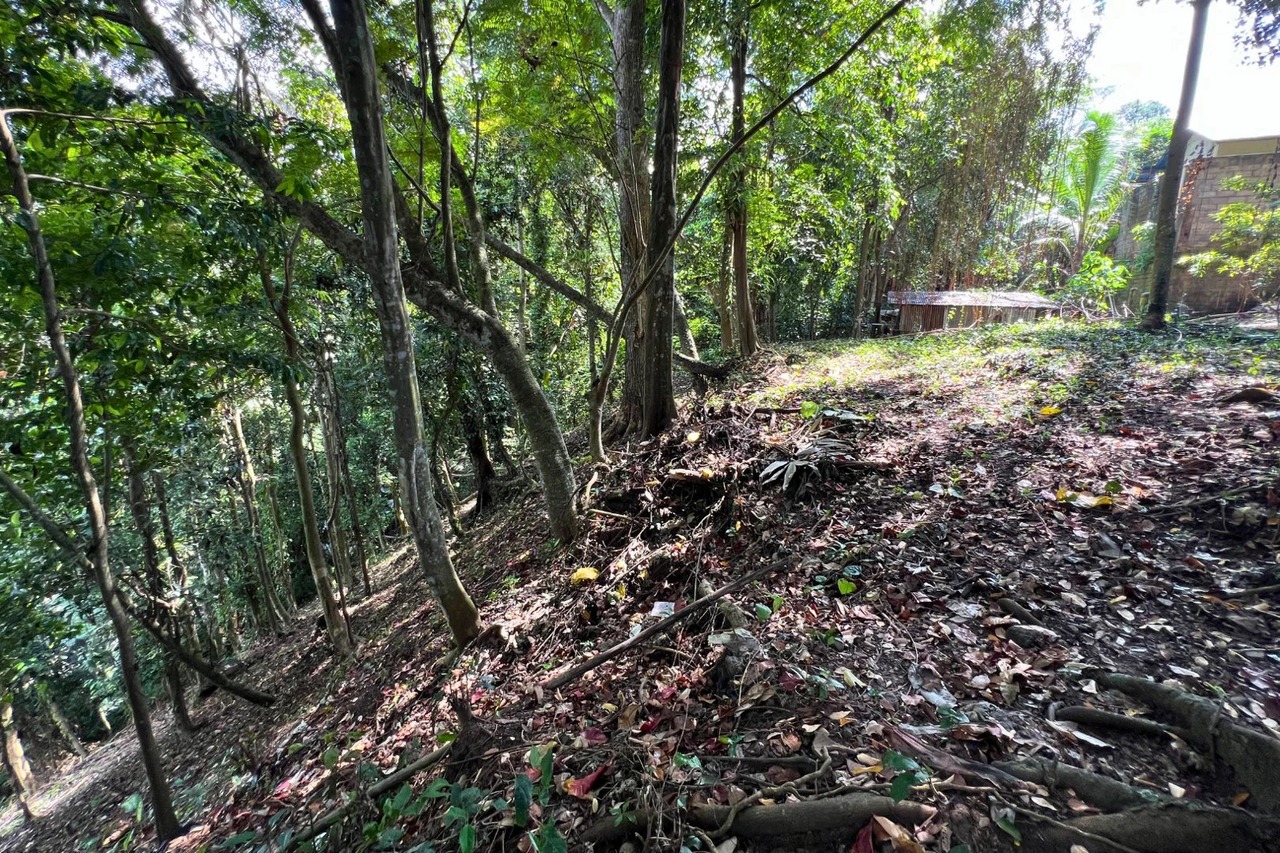 12 Are Riverfront Land with Jungle View