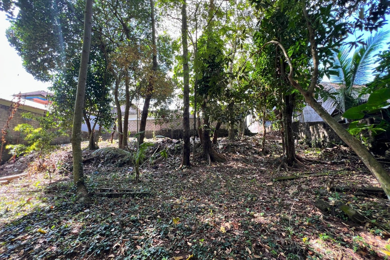 12 Are Riverfront Land with Jungle View