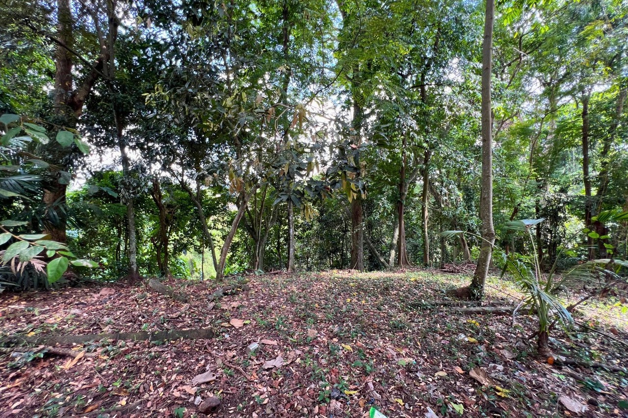 12 Are Riverfront Land with Jungle View
