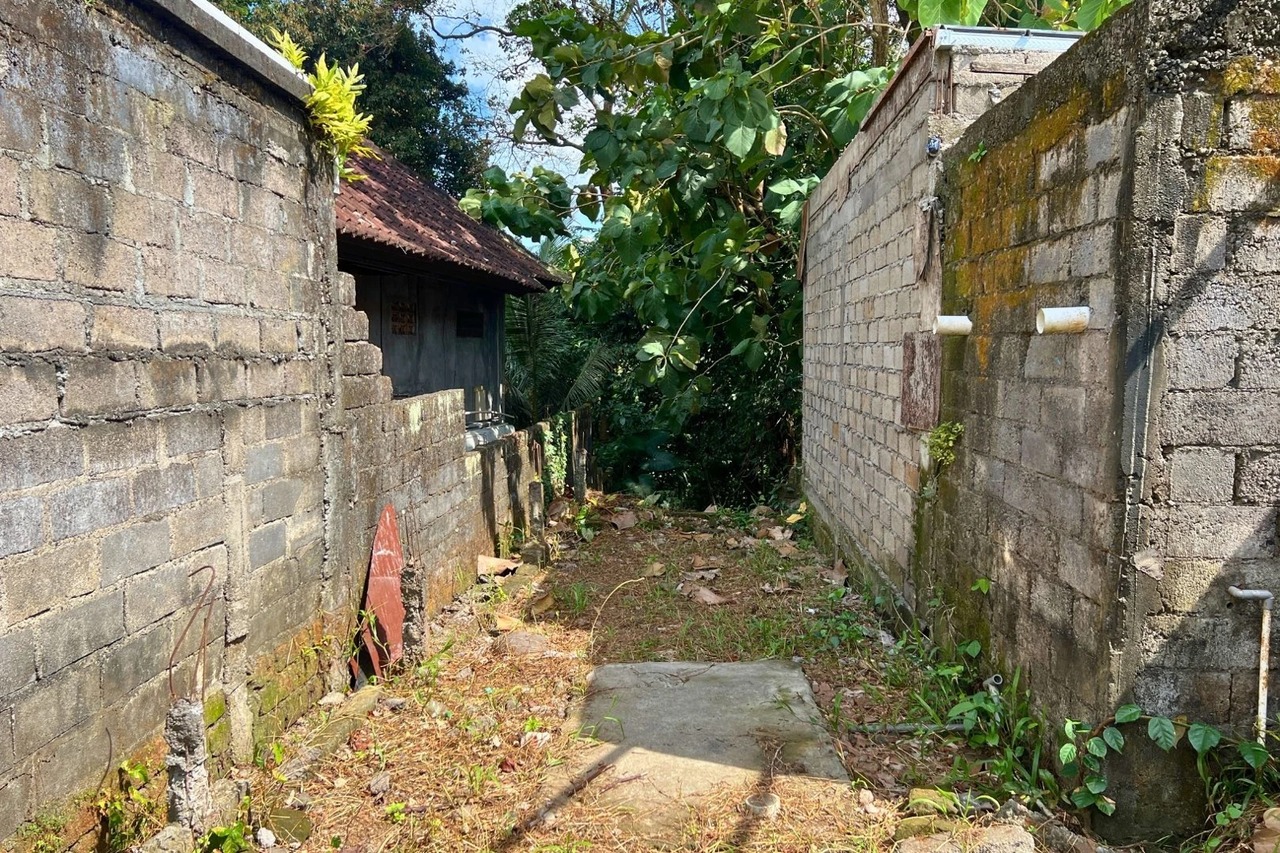 12 Are Riverfront Land with Jungle View