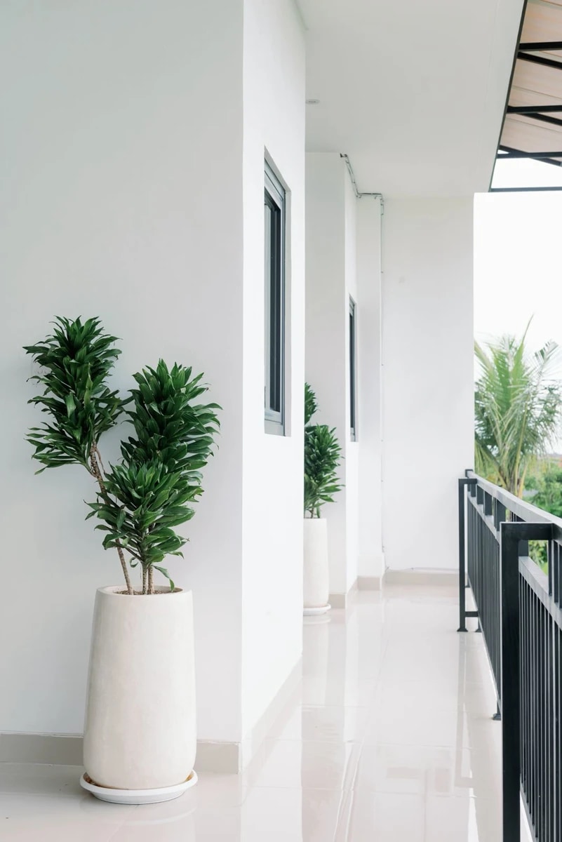 Brandnew apartement pererenan
