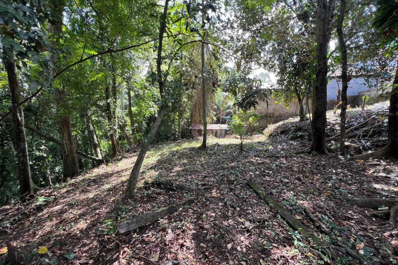 12 Are Riverfront Land with Lush Jungle