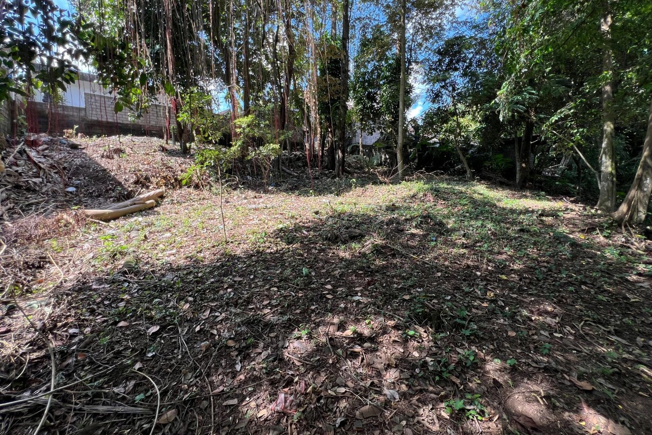 12 Are Riverfront Land with Lush Jungle