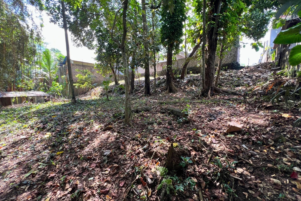 12 Are Riverfront Land with Lush Jungle