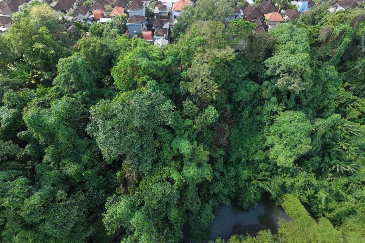 12 Are Riverfront Land with Lush Jungle