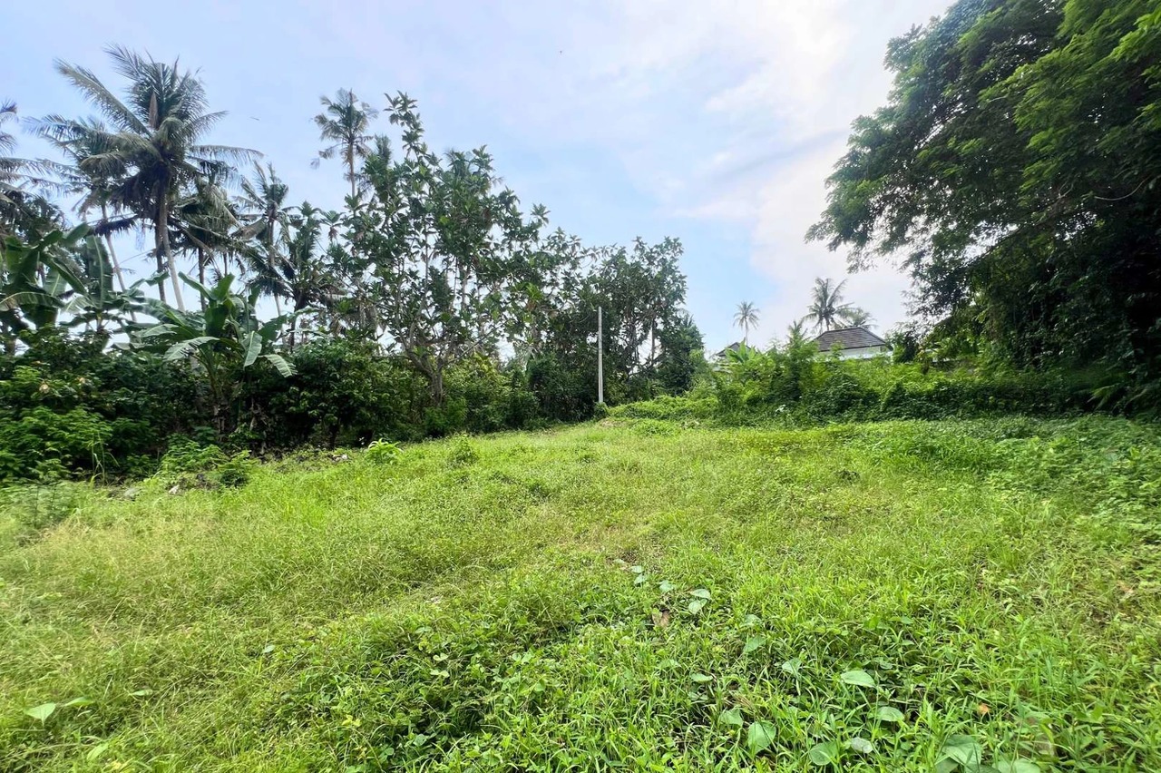 RARE FREEHOLD - 650 sqm Land Jungle View