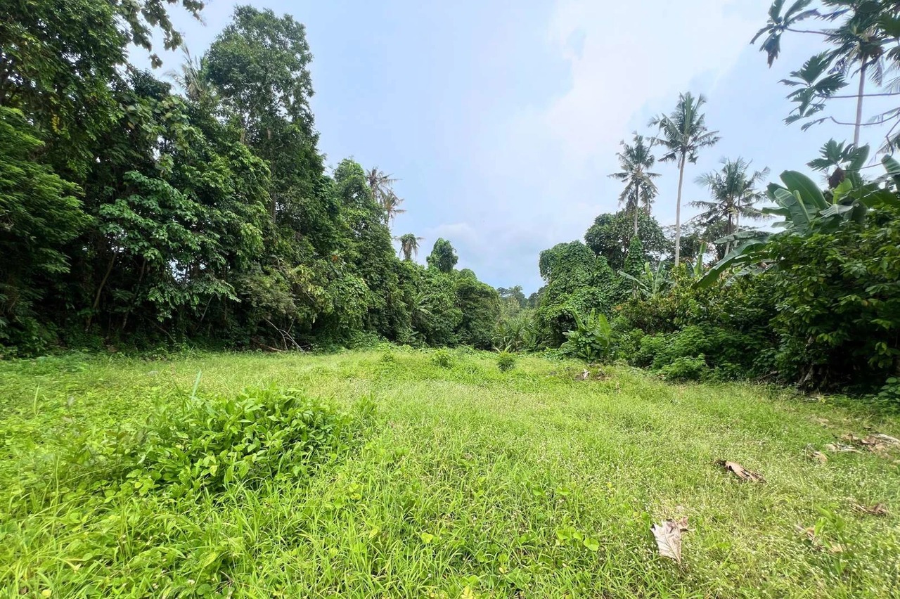 RARE FREEHOLD - 650 sqm Land Jungle View