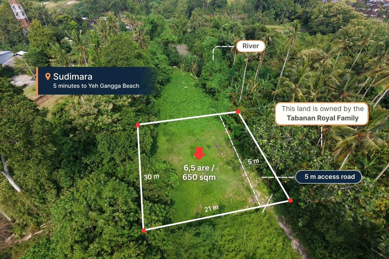 RARE FREEHOLD - 650 sqm Land Jungle View