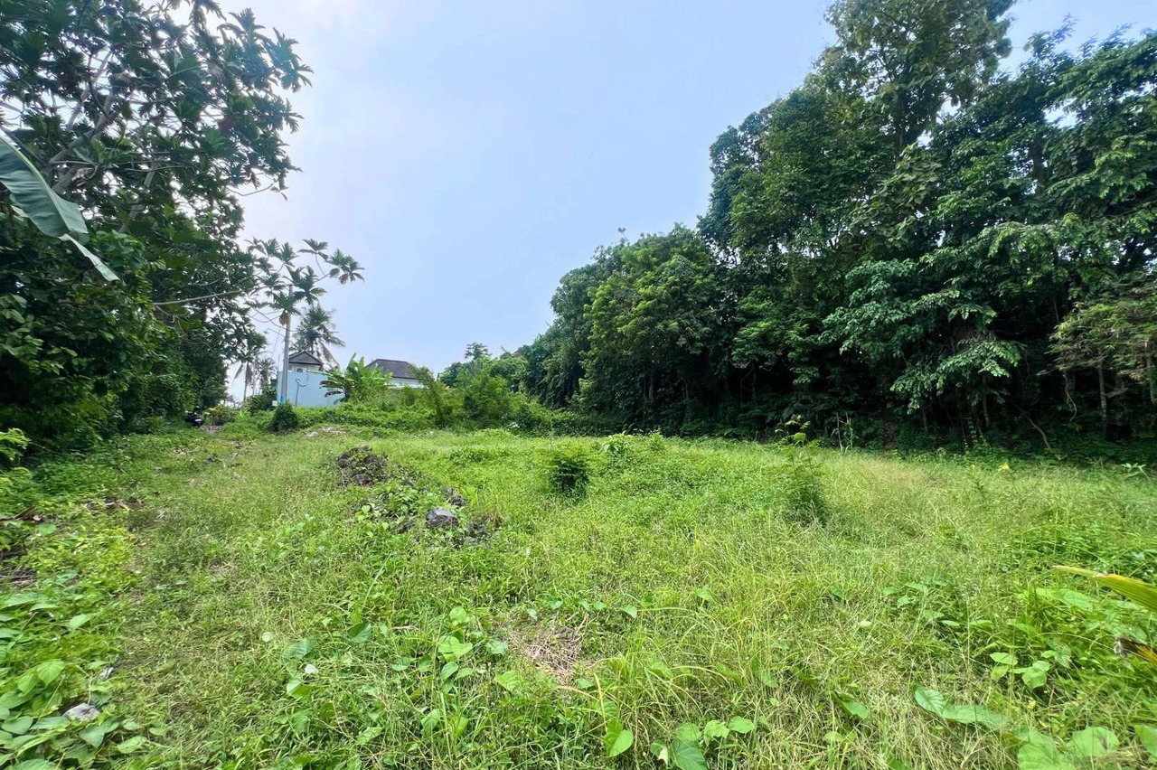 RARE FREEHOLD - 650 sqm Land Jungle View