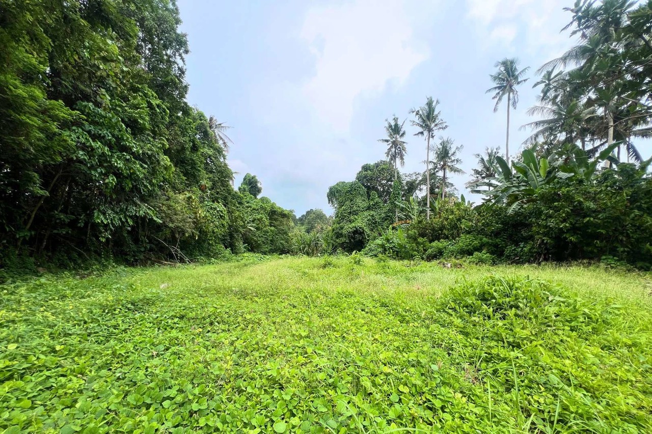 RARE FREEHOLD - 650 sqm Land Jungle View