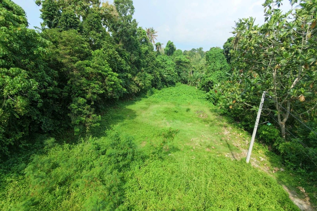 RARE FREEHOLD - 650 sqm Land Jungle View