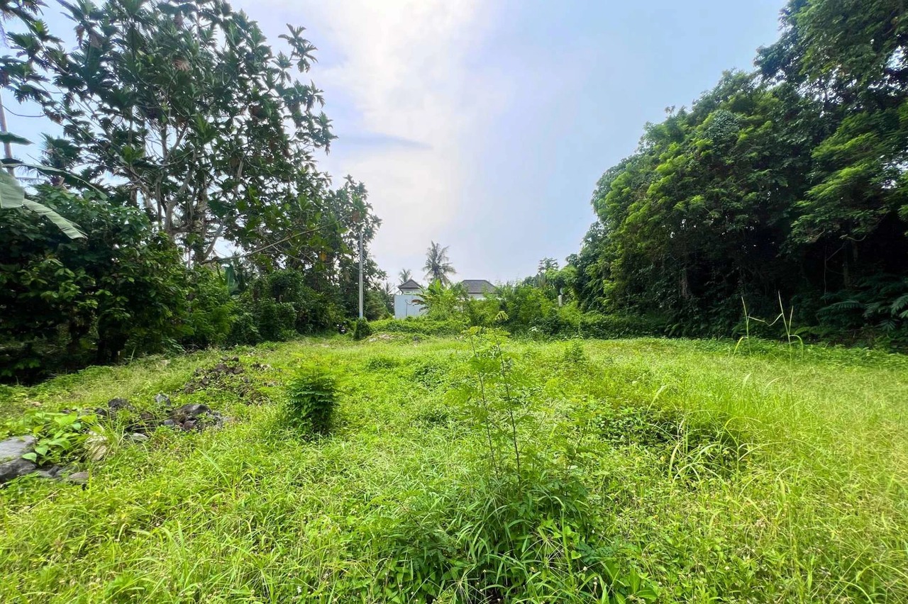 RARE FREEHOLD - 650 sqm Land Jungle View