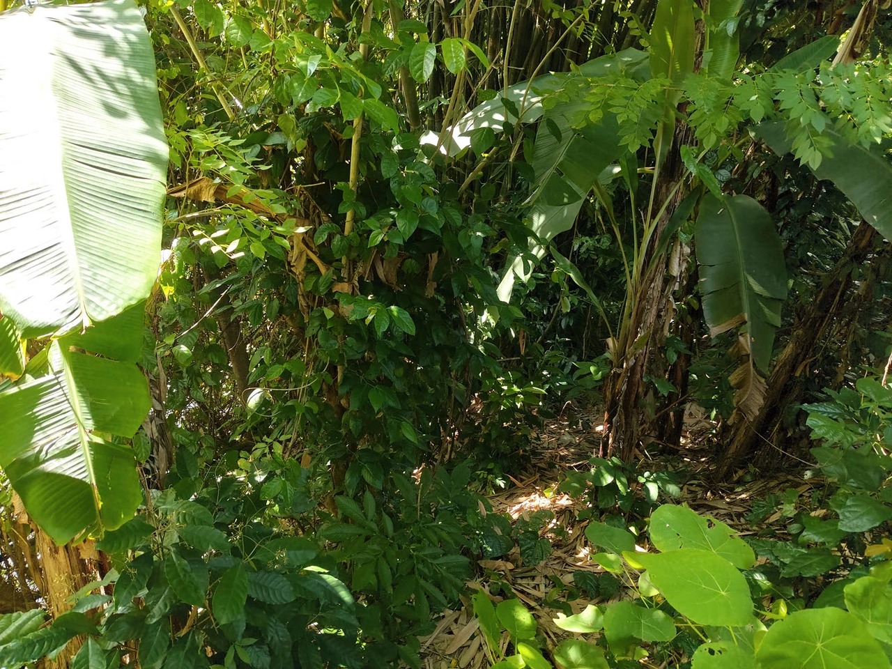 11.2 ARE of Prime River Edge Land