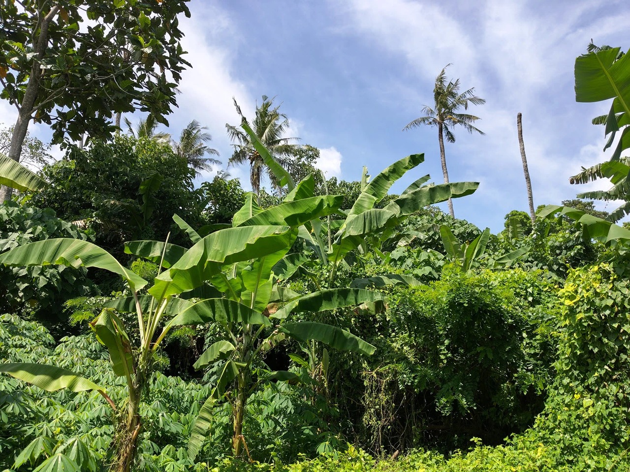 11.2 ARE of Prime River Edge Land