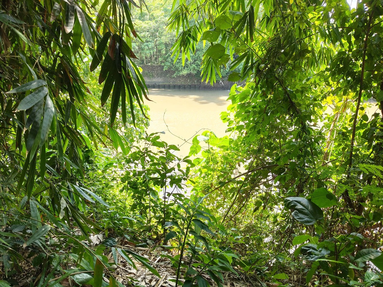 11.2 ARE of Prime River Edge Land