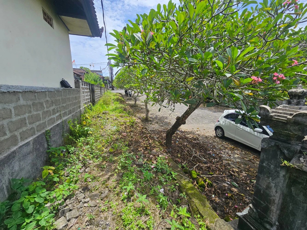 11.2 ARE of Prime River Edge Land