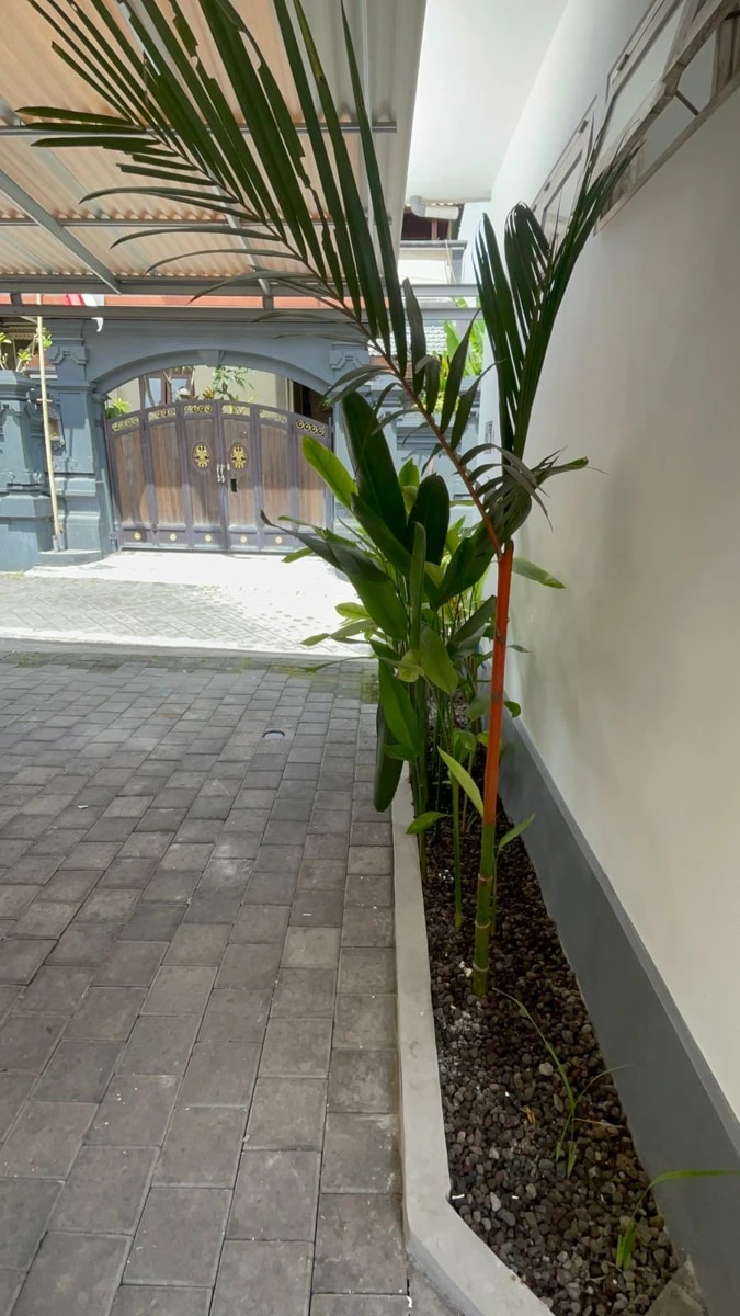3-Bedroom Villa for Rent in Umalas