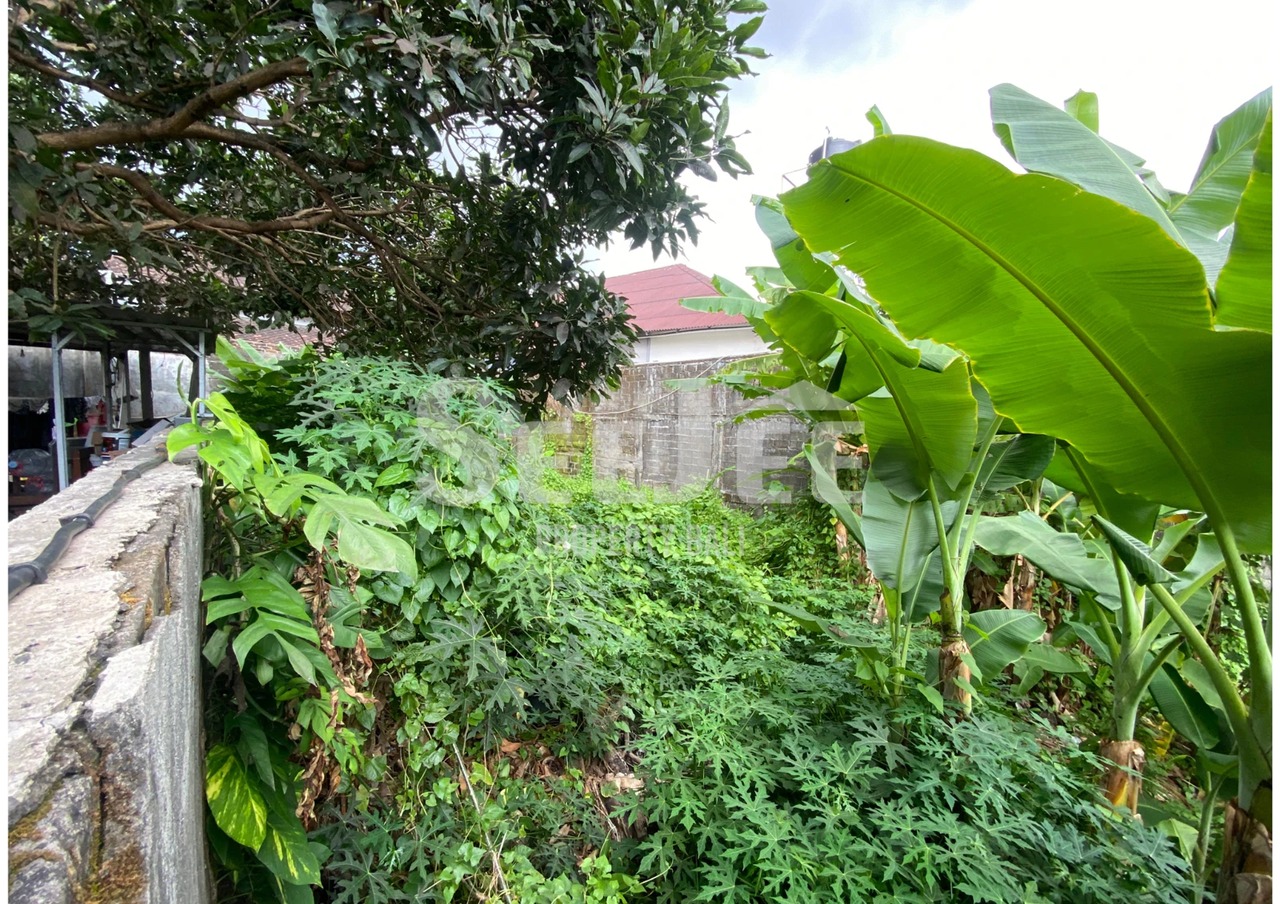 TUKA BABAKAN — CANGGU’S NEXT INVESTMENT 