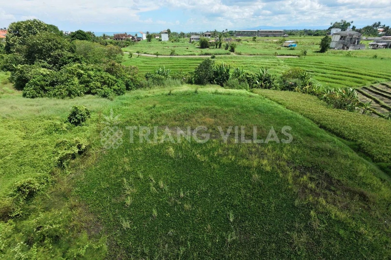 Splittable 10-Are Land For Leasehold