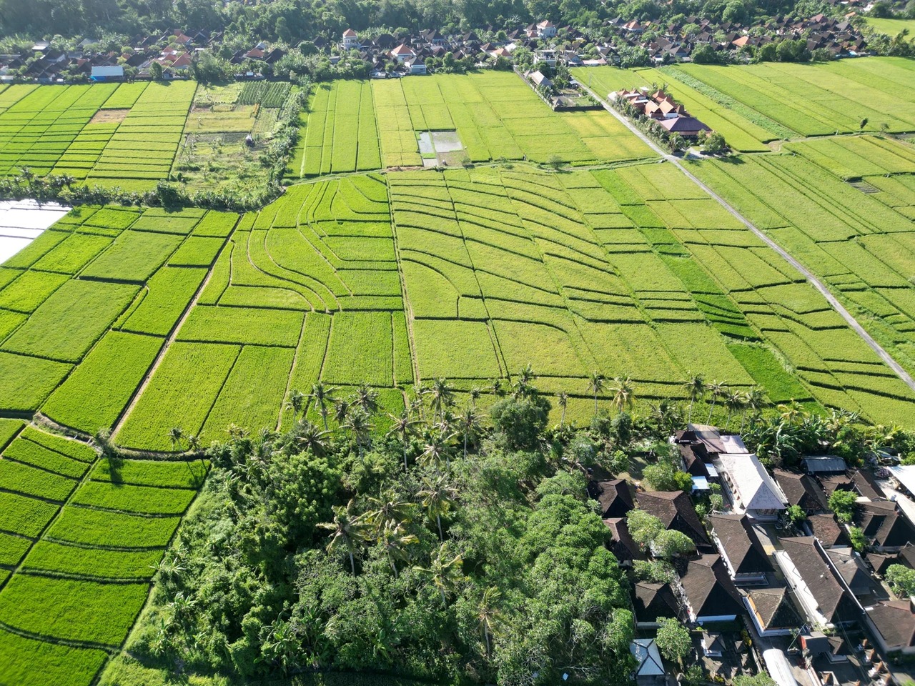 LEASEHOLD LAND 10 ARE IN KELATING