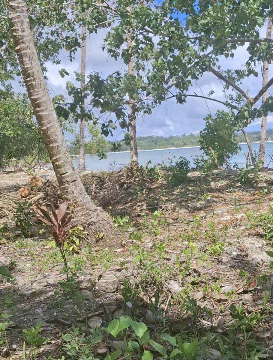 460 m² Beachfront Micro-Parcel