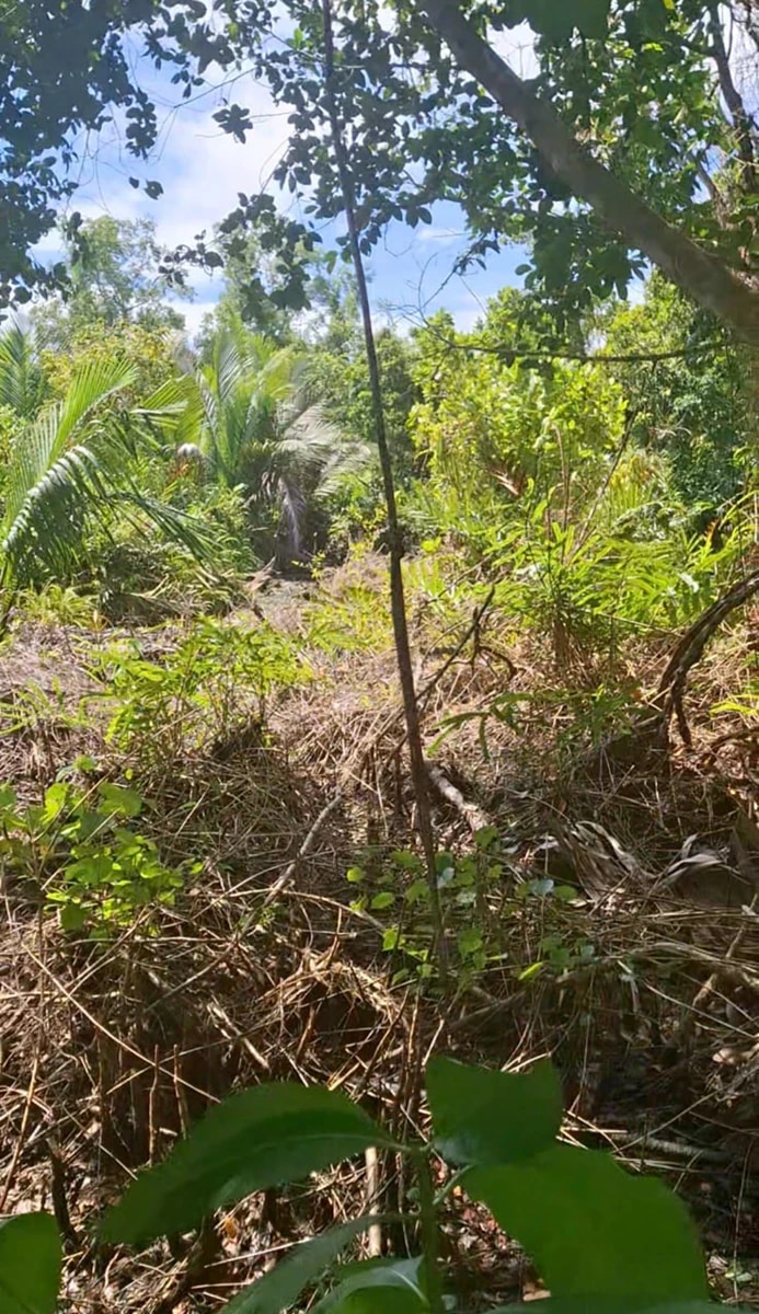 460 m² Beachfront Micro-Parcel